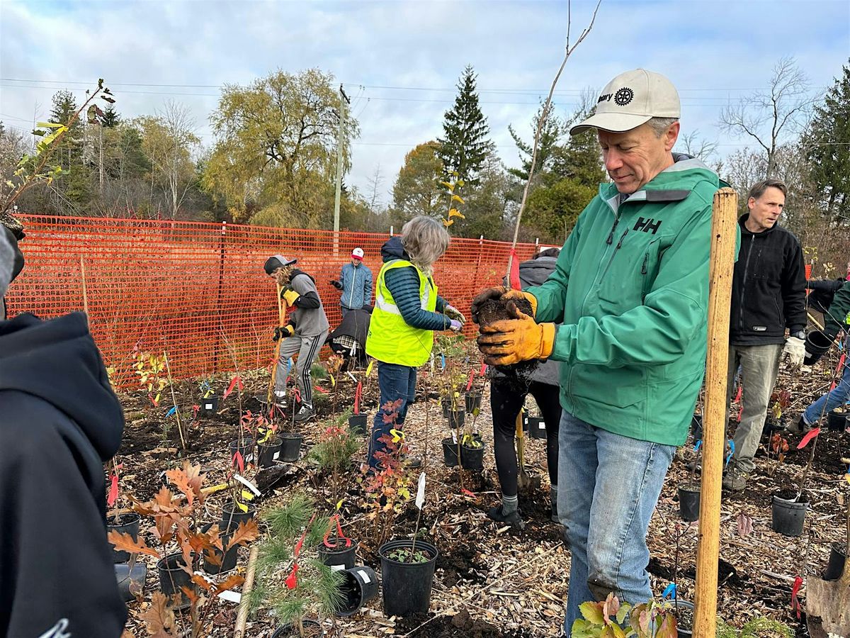 Mini Forest 2.0 Tree Planting @ Fields of Uxbridge