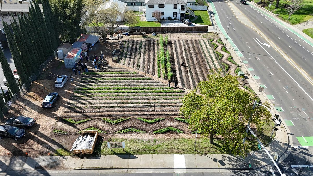 Call to Action for Three Sisters Gardens