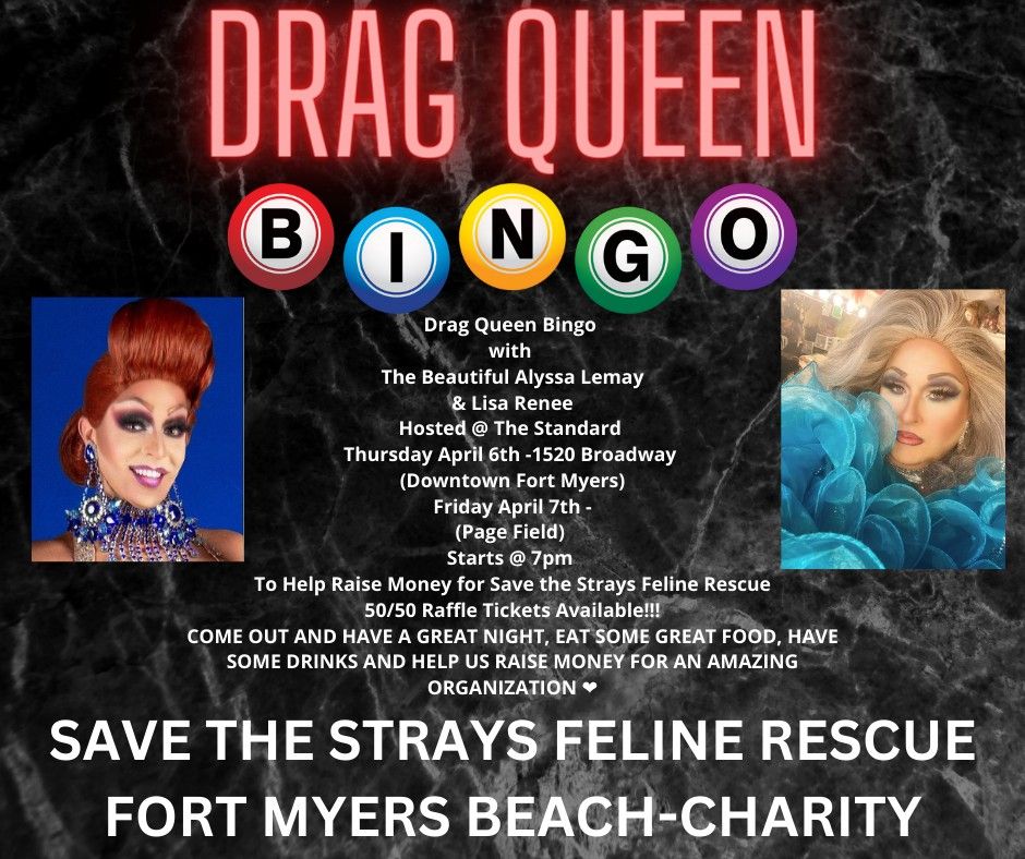 Drag Queen Bingo To Support Save The Strays Feline Rescue FMB The drag-queen-bingo-to-support-save-the-strays-feline-rescue-fmb-the