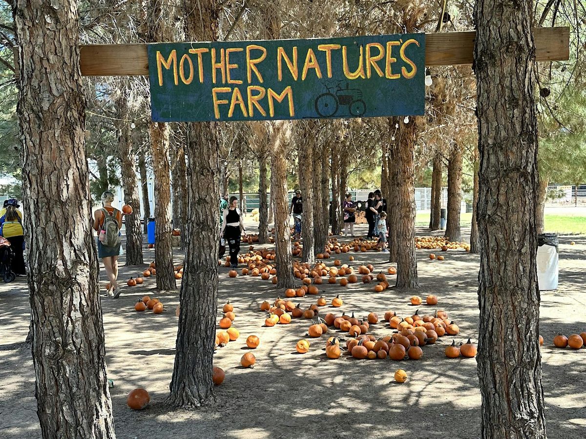 Client Appreciation Fall Festival
