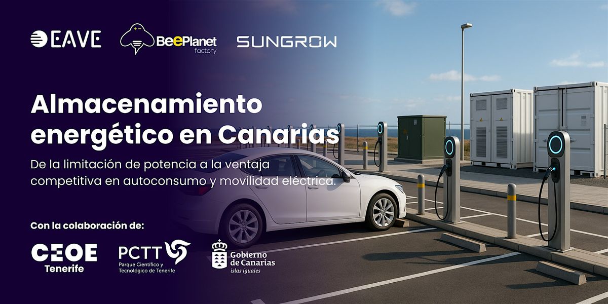 Almacenamiento energ\u00e9tico en Canarias