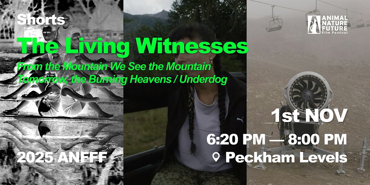 Shorts: The Living Witnesses