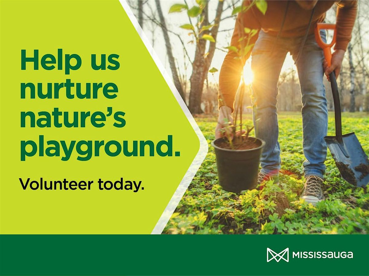Fall One Million Tree Planting Event