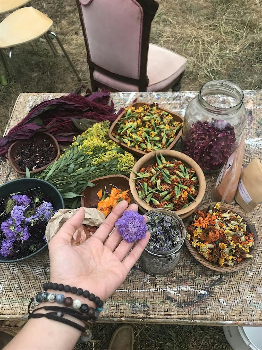 Creating Color with Natural Dyes