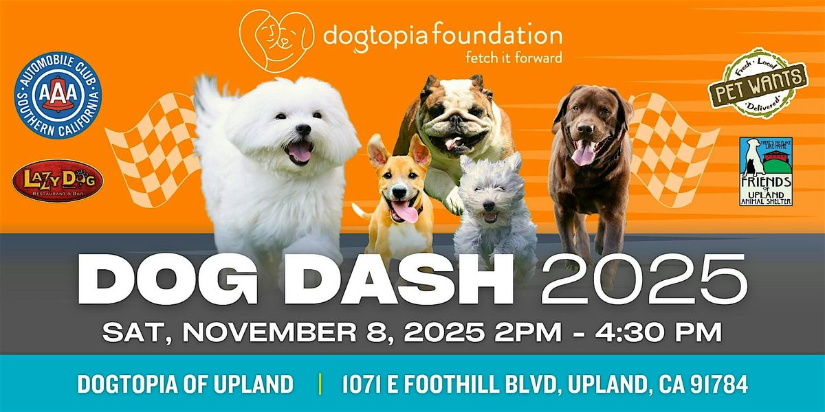Dogtopia Dog Dash 2025