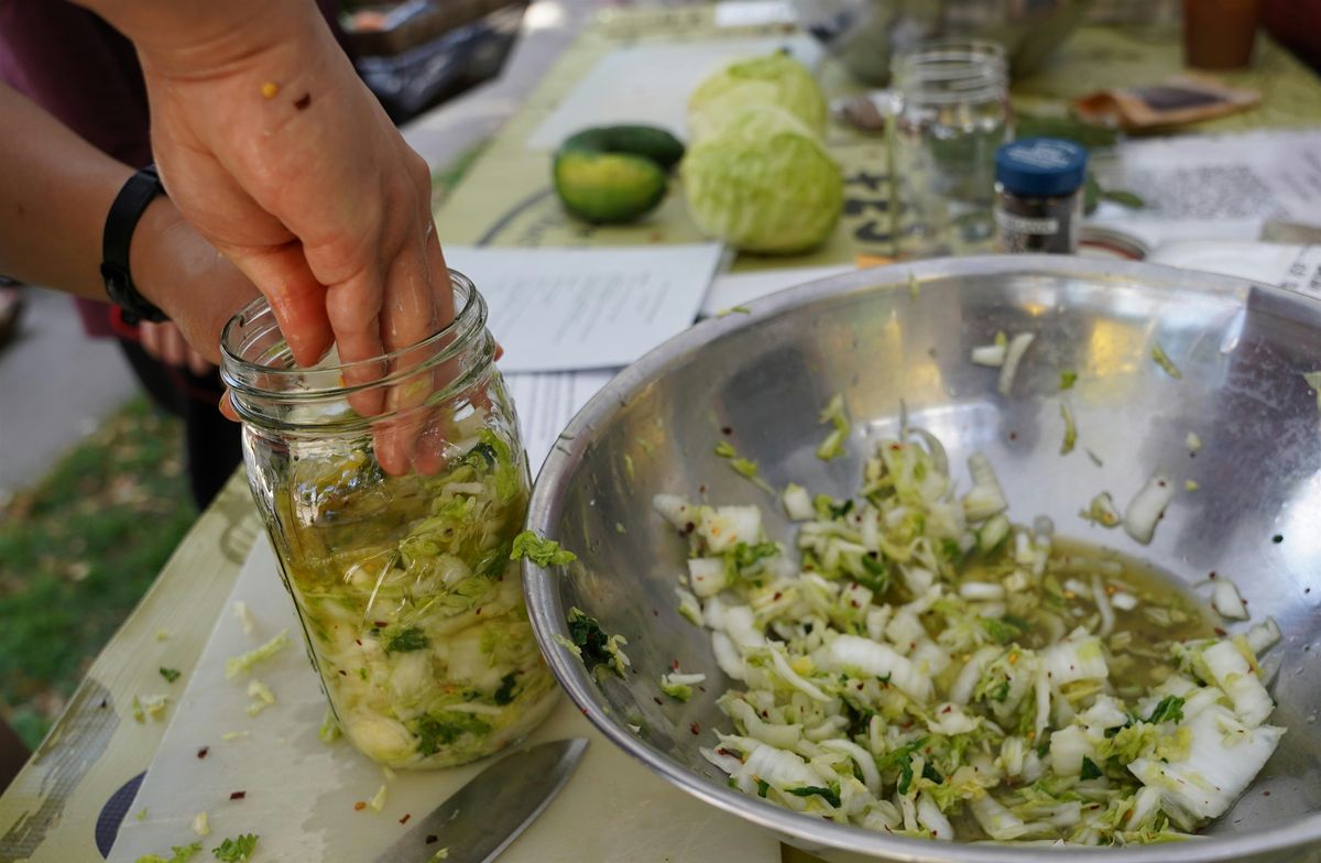 Learn to Ferment: Make Your Own Sauerkraut