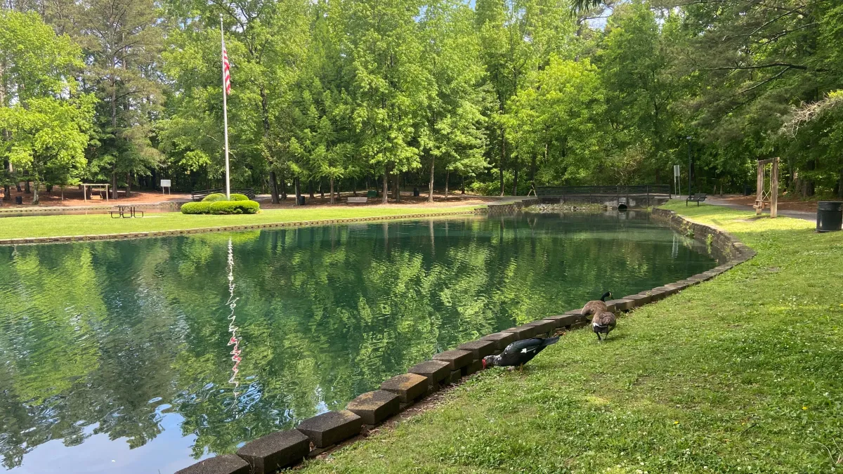 Nov. 8 Walk at Roswell Area Park