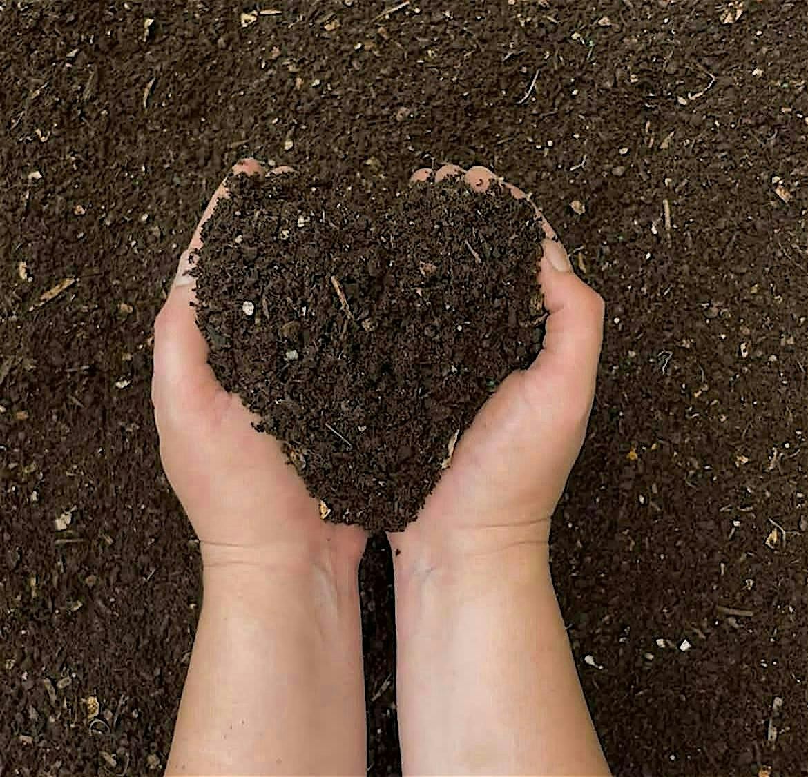 End of Fall Composting and Recycling Event