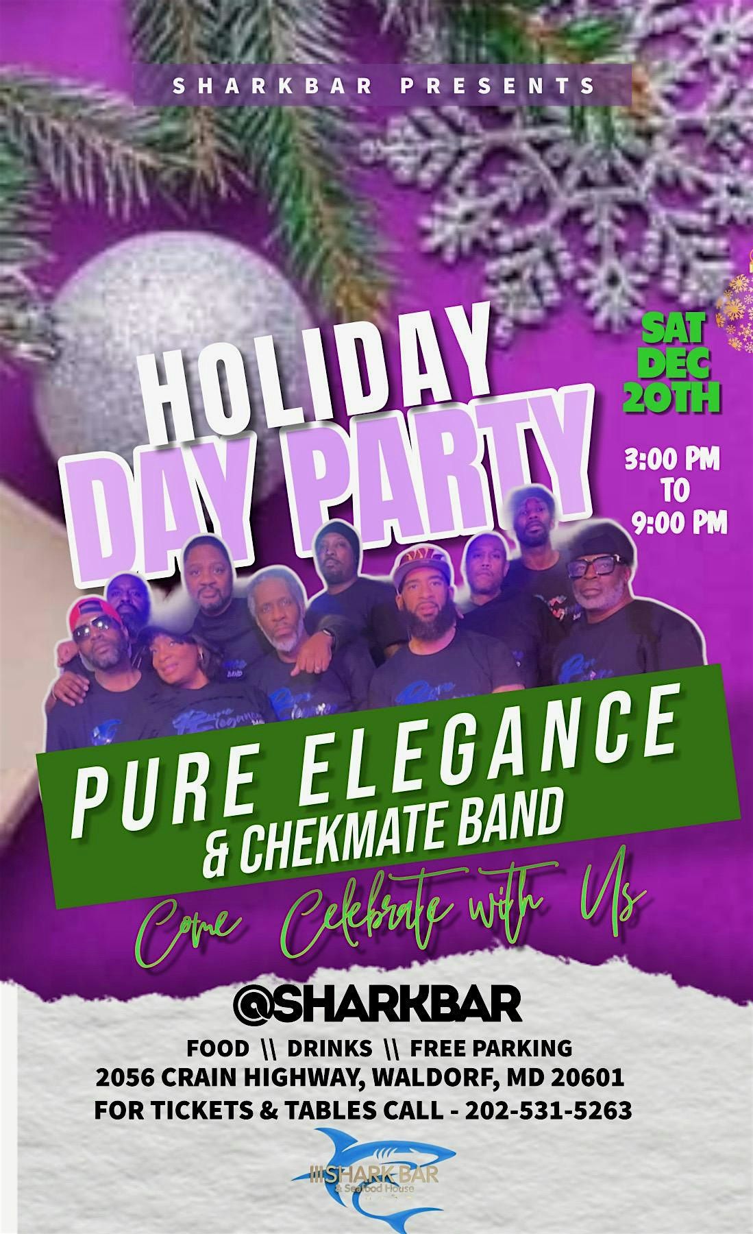 Holiday Gala  Day party with Pure Elegance & Chekmate band