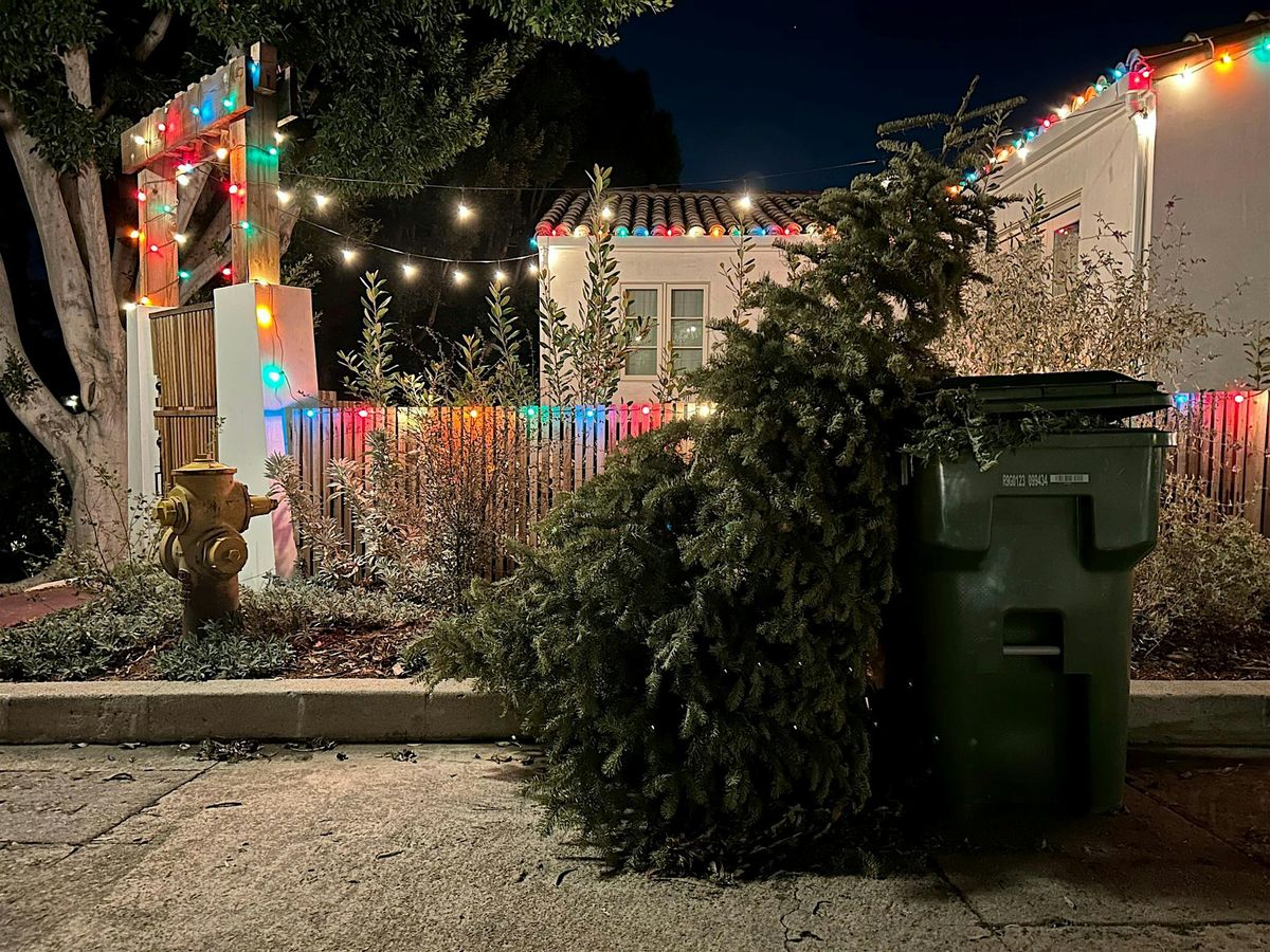 The Day After Christmas- Photo Show