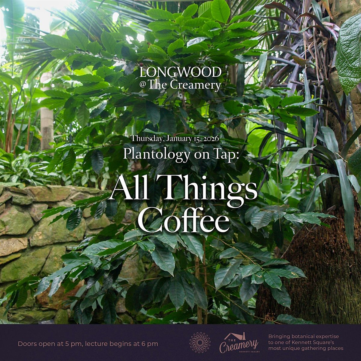 Plantology on Tap: All Things Coffee