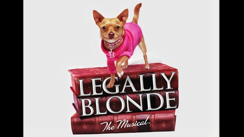 Legally Blonde The Musical Scott Theatre University Of Adelaide 