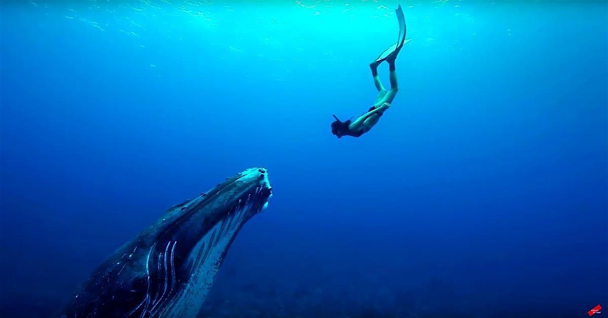 Special viewing party, "Mere Ocean" with Michelle