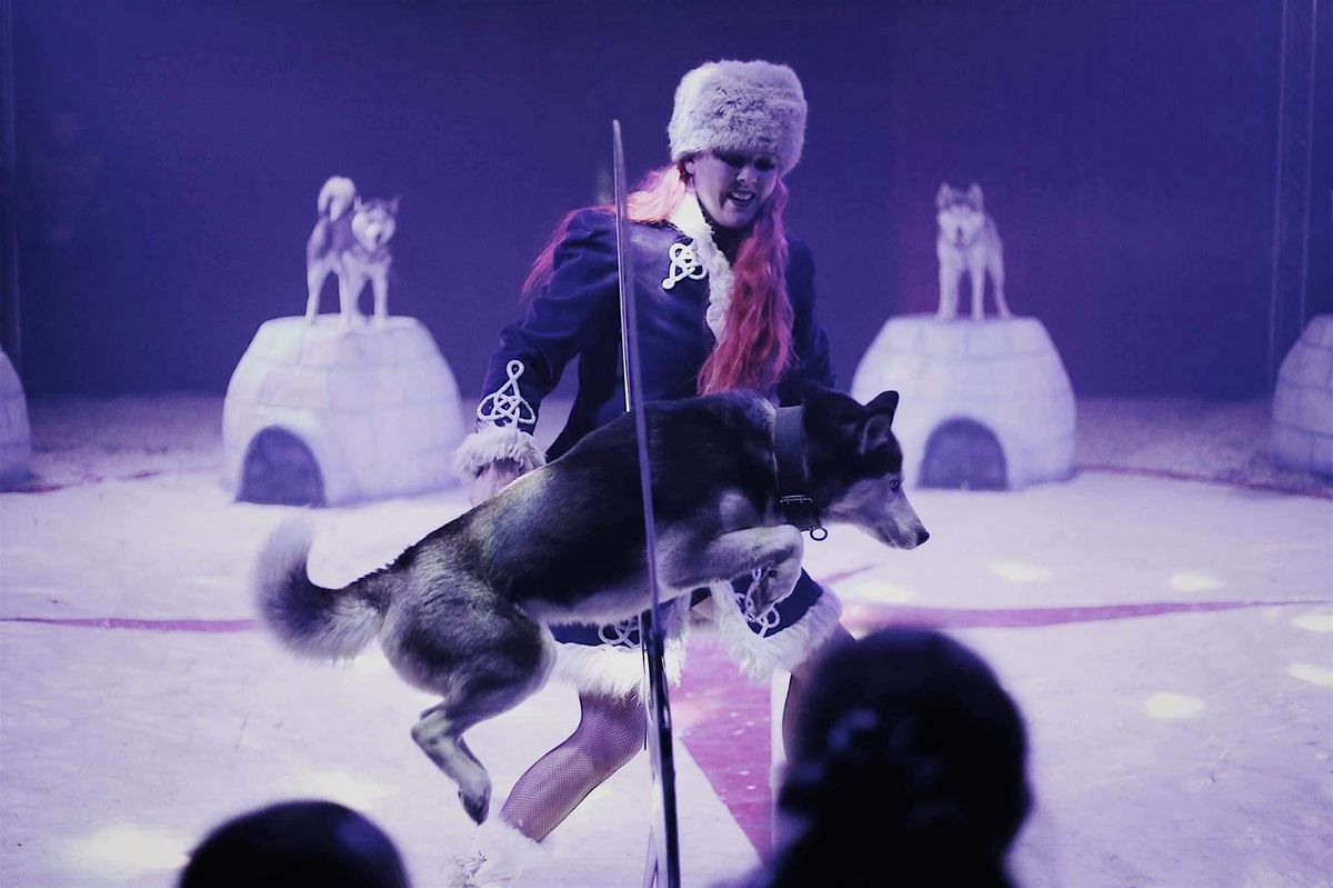 Winterval Christmas Circus