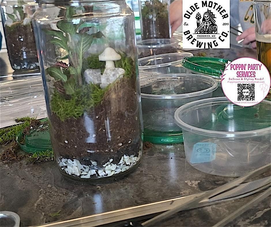 Create your very own terrarium!