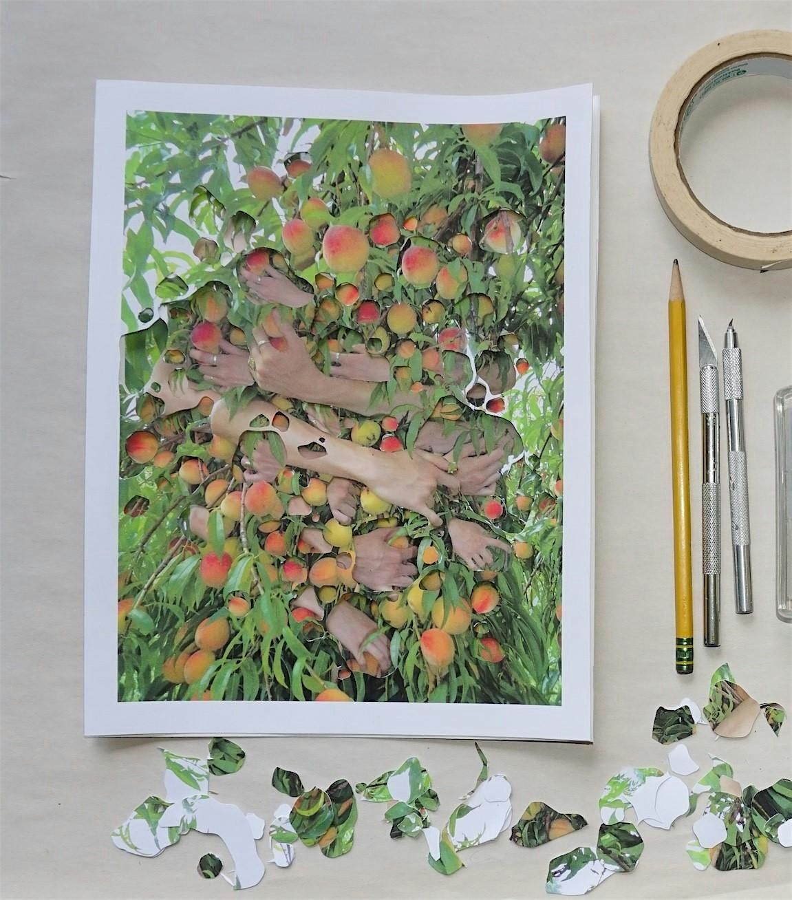 Mixed media workshop: Organic Collage Processes