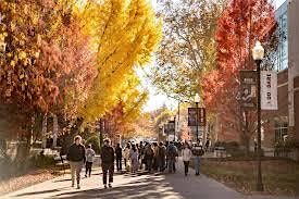 Autumn History Mystery Walk, Fridays, BZP Tuolumne