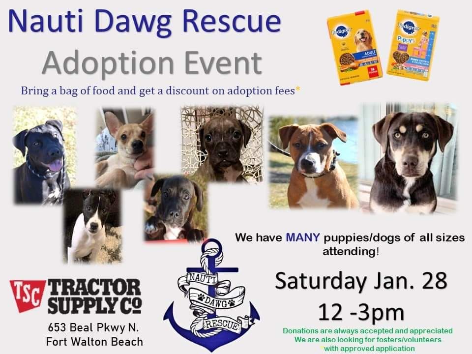Tractor Supply Dog Adoption Event Tractor Supply Co. (653 Beal Pkwy N