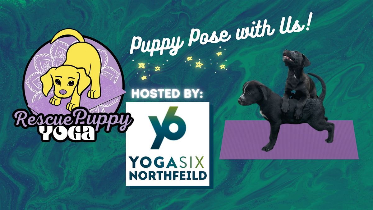 Rescue Puppy Yoga - YogaSix Northfield