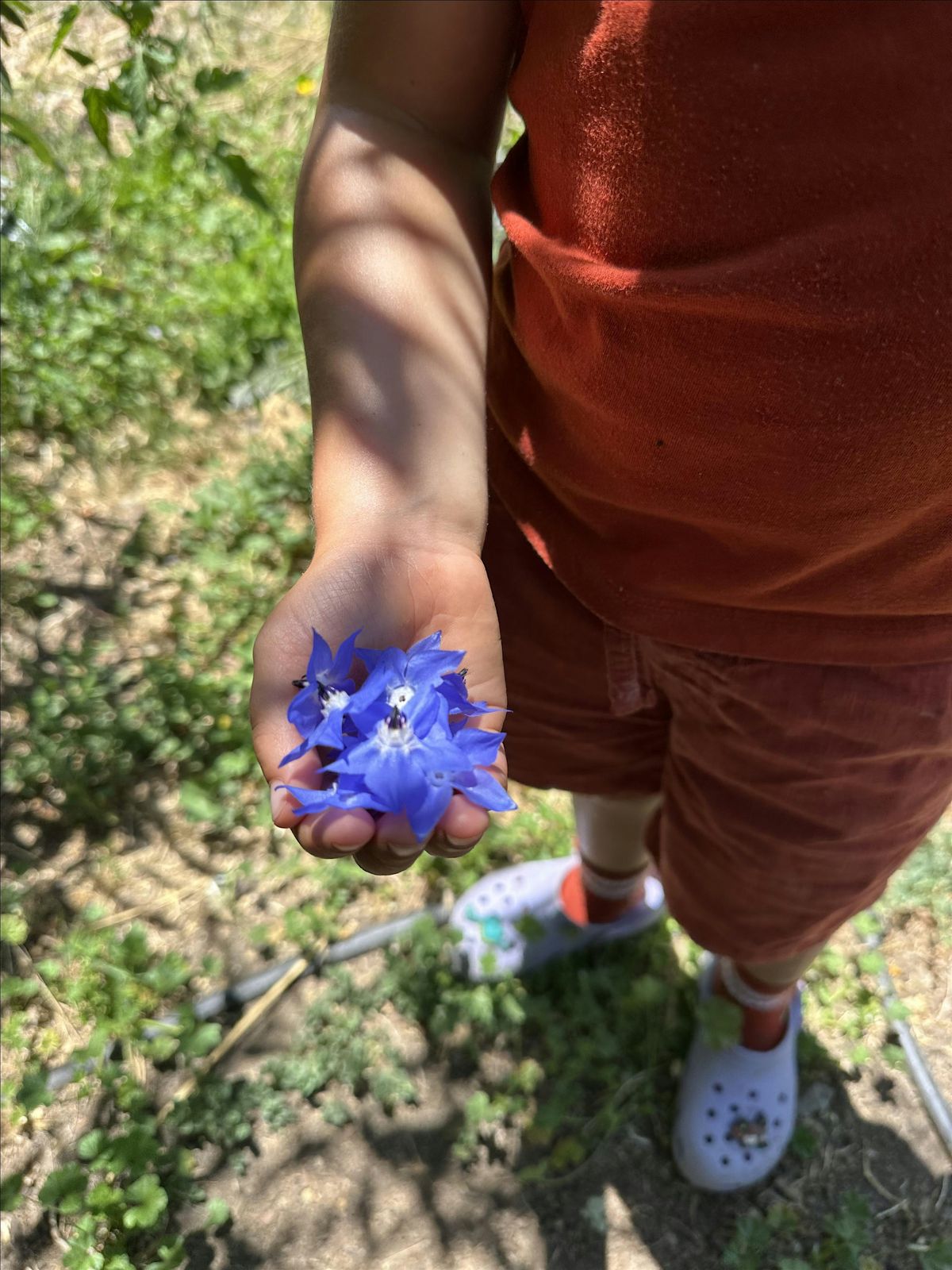 Fulton Community School & Farm Tour