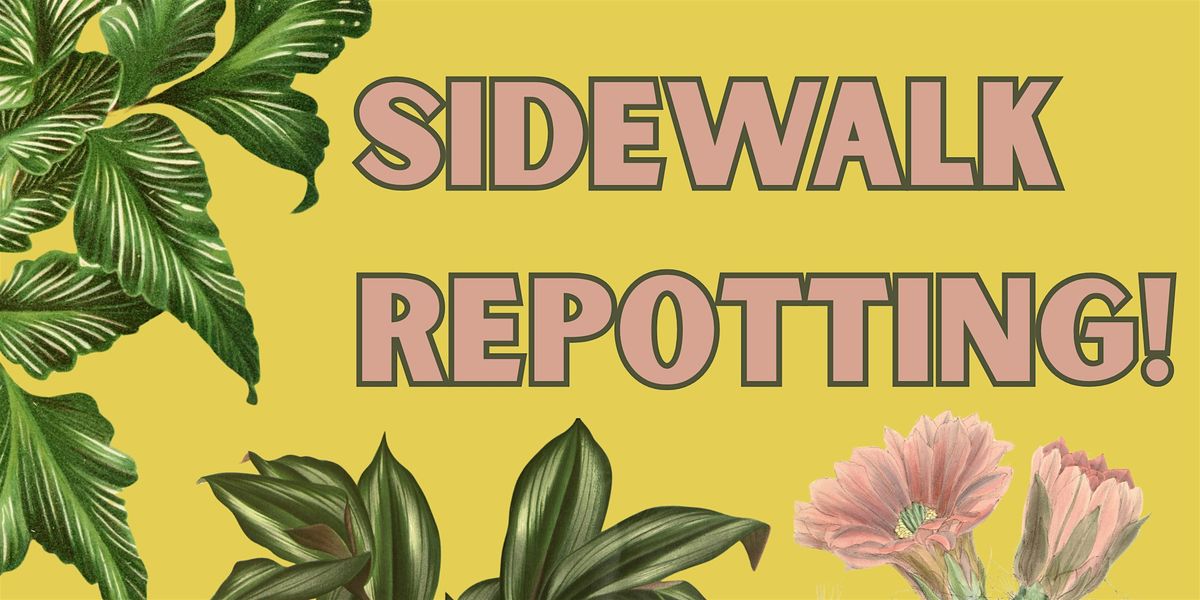 Sidewalk Repotting!