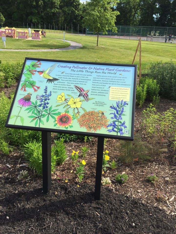 Pat King Pollinator Garden Spring Clean Up East Goshen Park Paoli pat-king-pollinator-garden-spring-clean-up-east-goshen-park-paoli