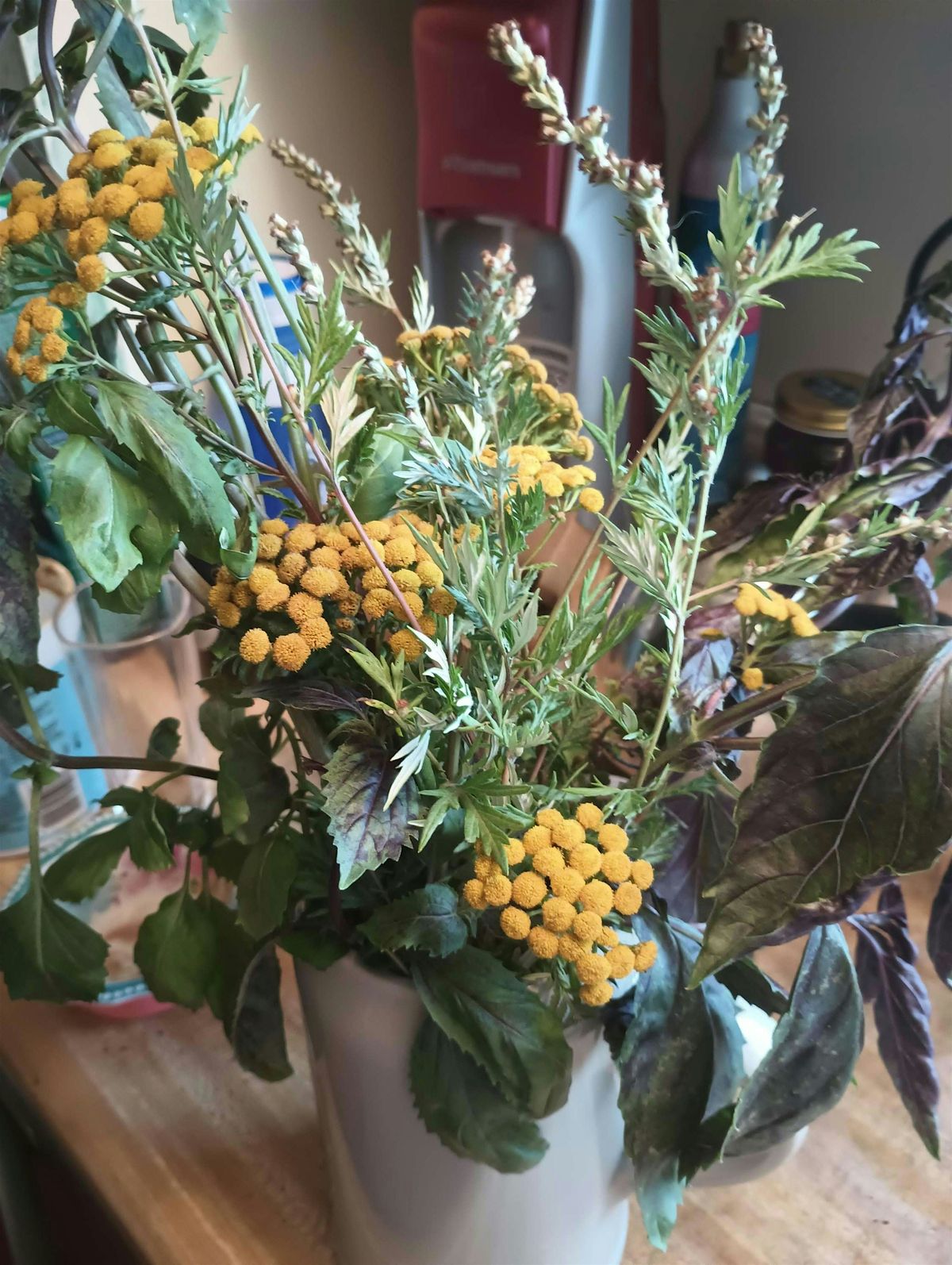 Plant Spirit Medicine