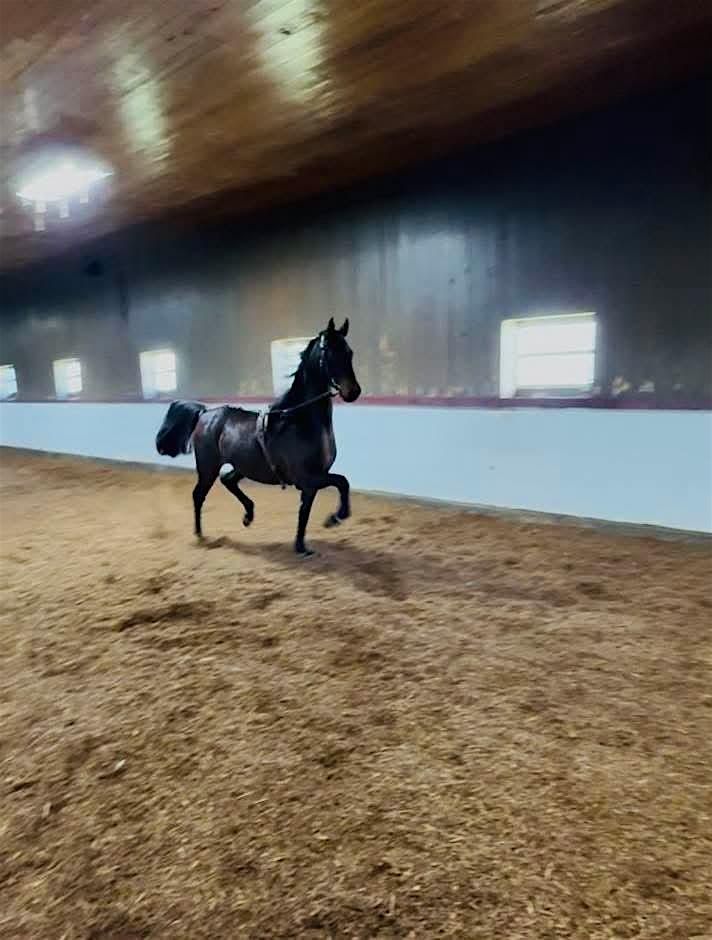 Monthly Membership 2.0