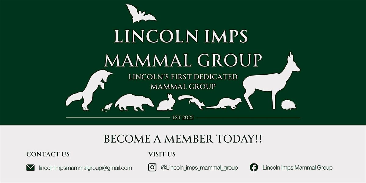 Mammal Tracks and Trails