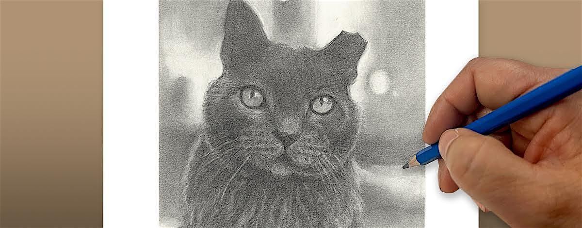 Are You Drawing Insecure?? We Gotchu!