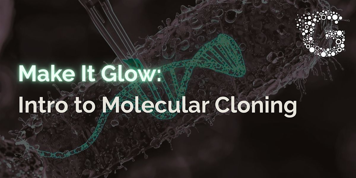 Make It Glow: Intro to Molecular Cloning