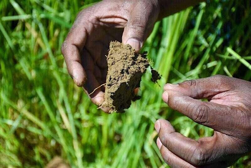 Soil Health Training at Bartonsham Meadows
