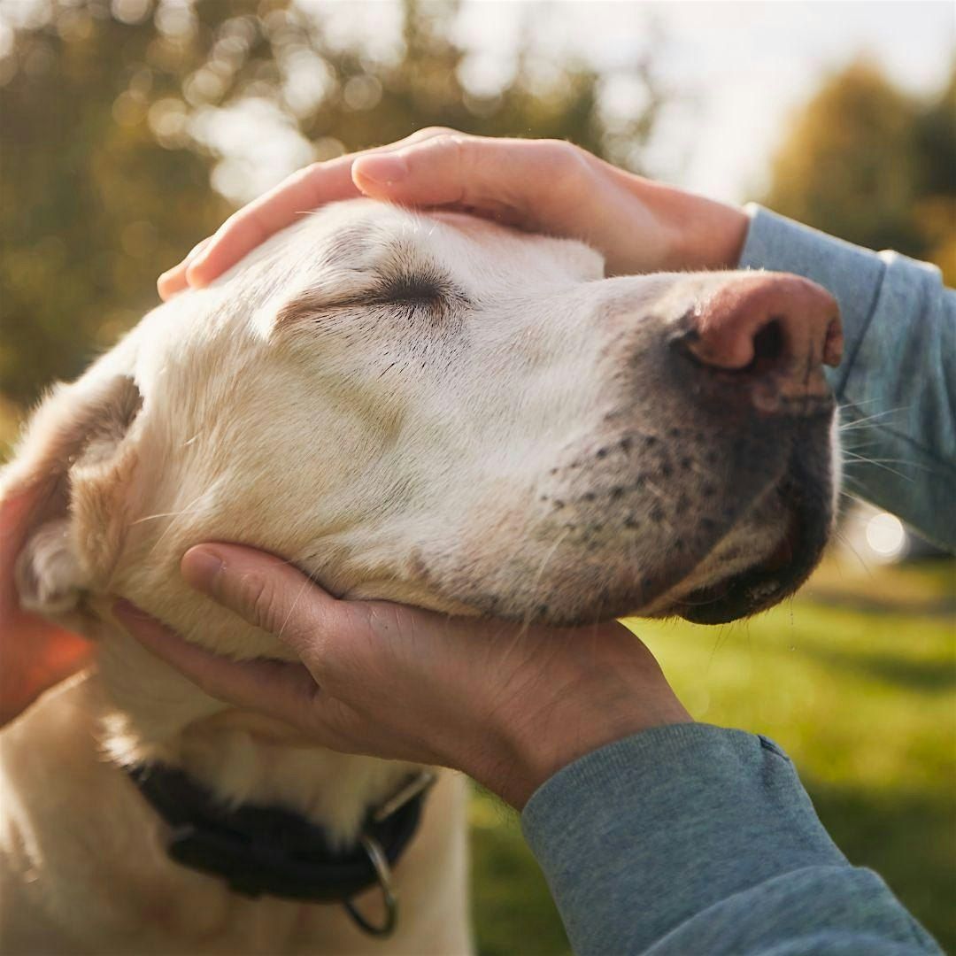Did you know you can talk to animals?
