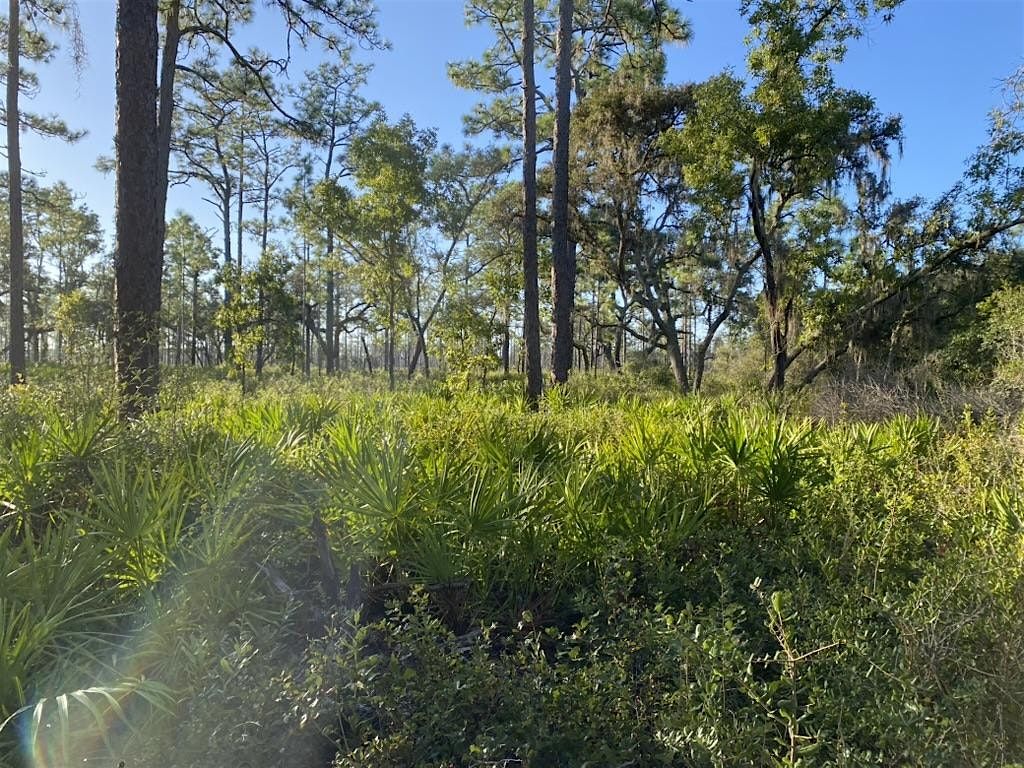 Hike Off the Turkey Hike at Lake Lizzie Northside