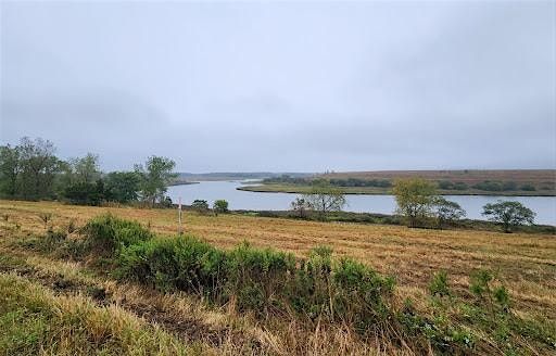 Greenbelt Adult Hike - Fresh Kills Park