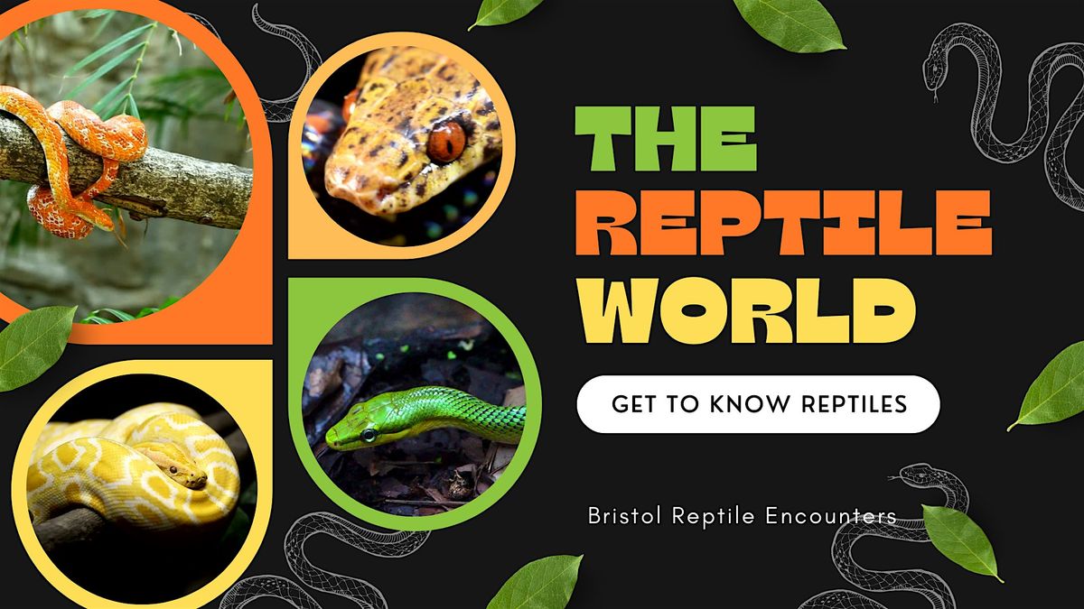 Learn, Meet and Hold Reptiles