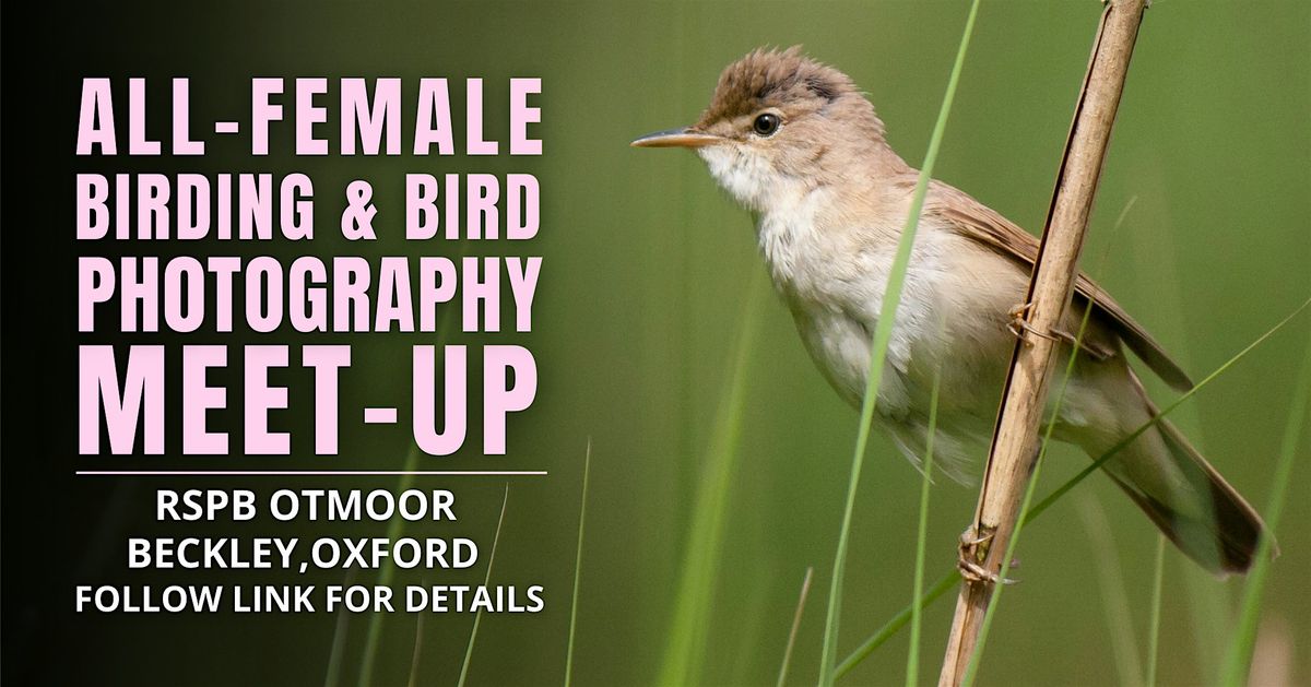 All-Female Birding & Bird Photography Morning