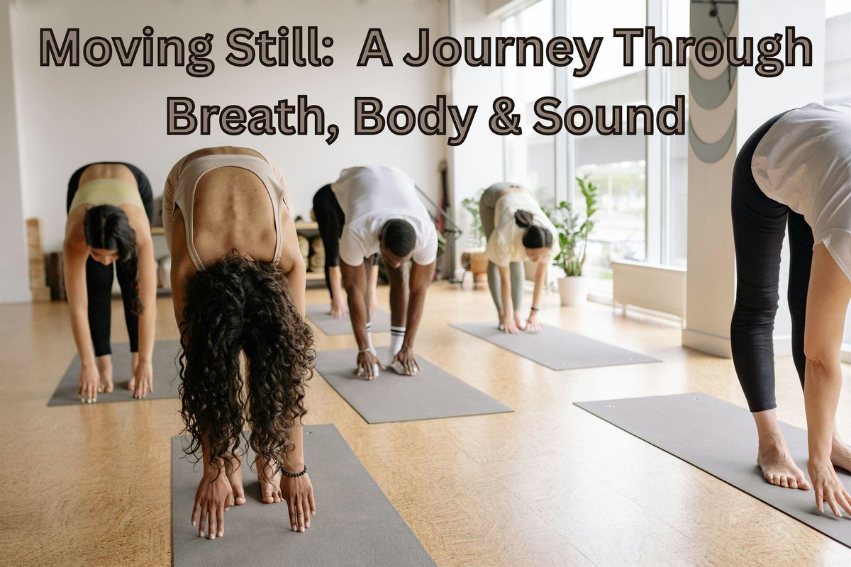 Moving Still:  A Journey Through Breath, Body & Sound