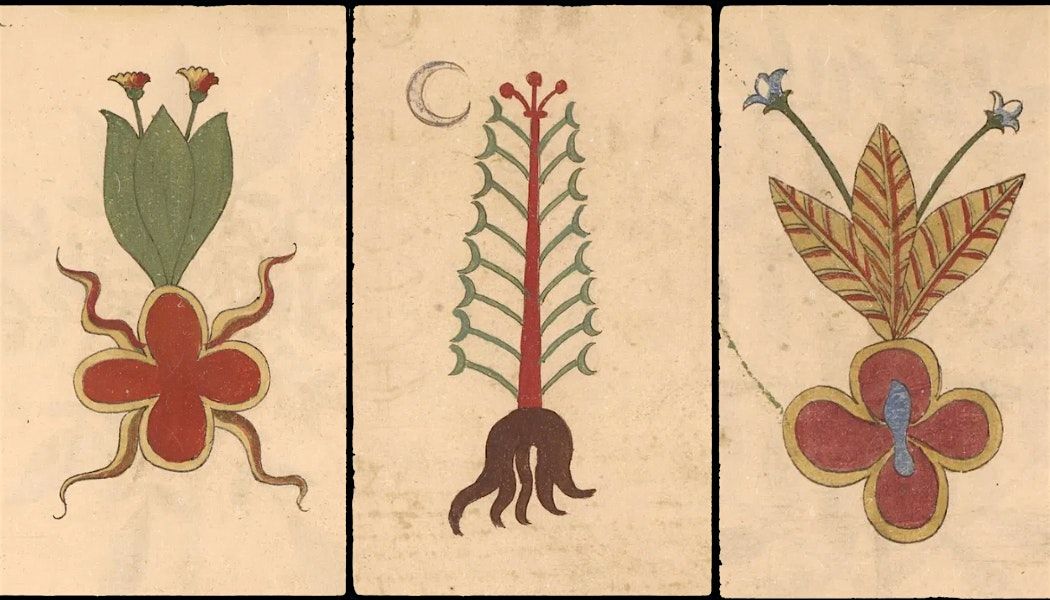 The Frequencies of Flora: An Intro to the Energetics of Herbal Medicine