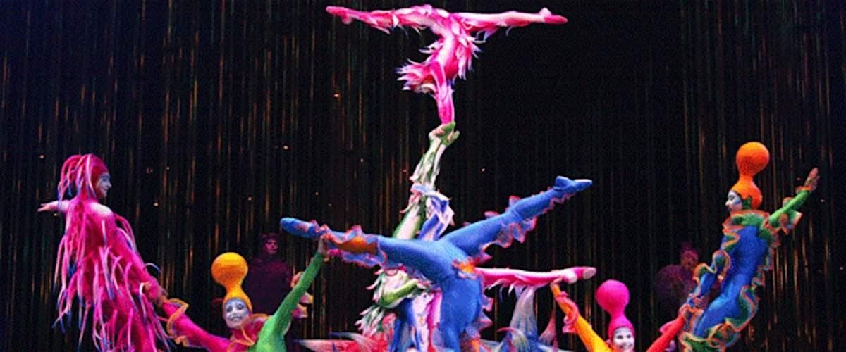 Illumination: A Midnight Garden Gala