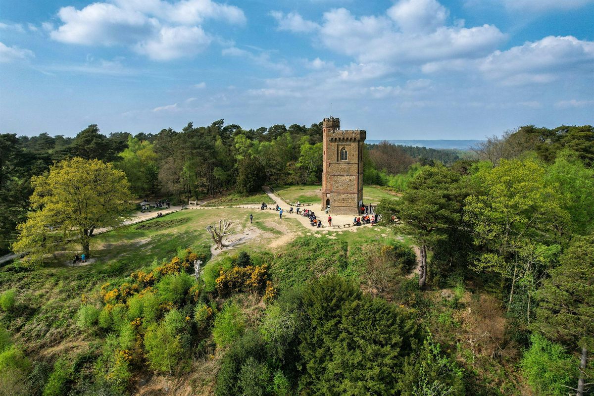 HIKE 26km Leith Hill Gothic Tower, Ancient Woodlands and Panoramic Views