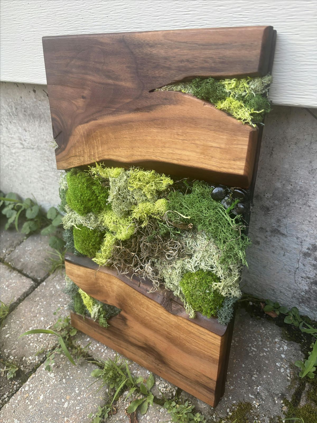 Biophilic Design Workshop