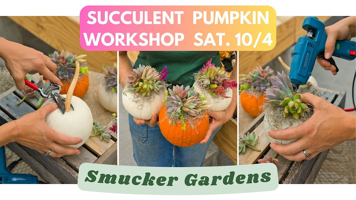 Succulent Pumpkin Workshop @ Smucker Gardens