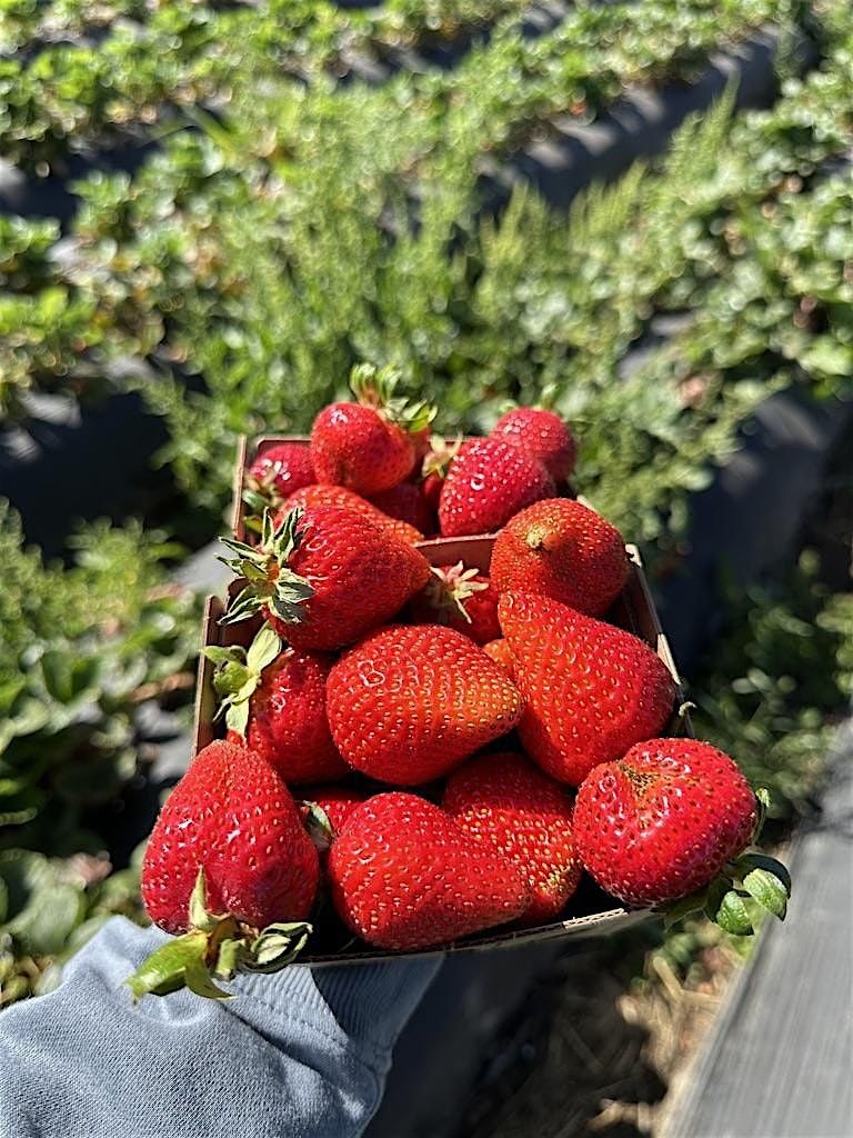 Live Earth Farm U-Picks and Farm Stand: Open for the 2025 Season