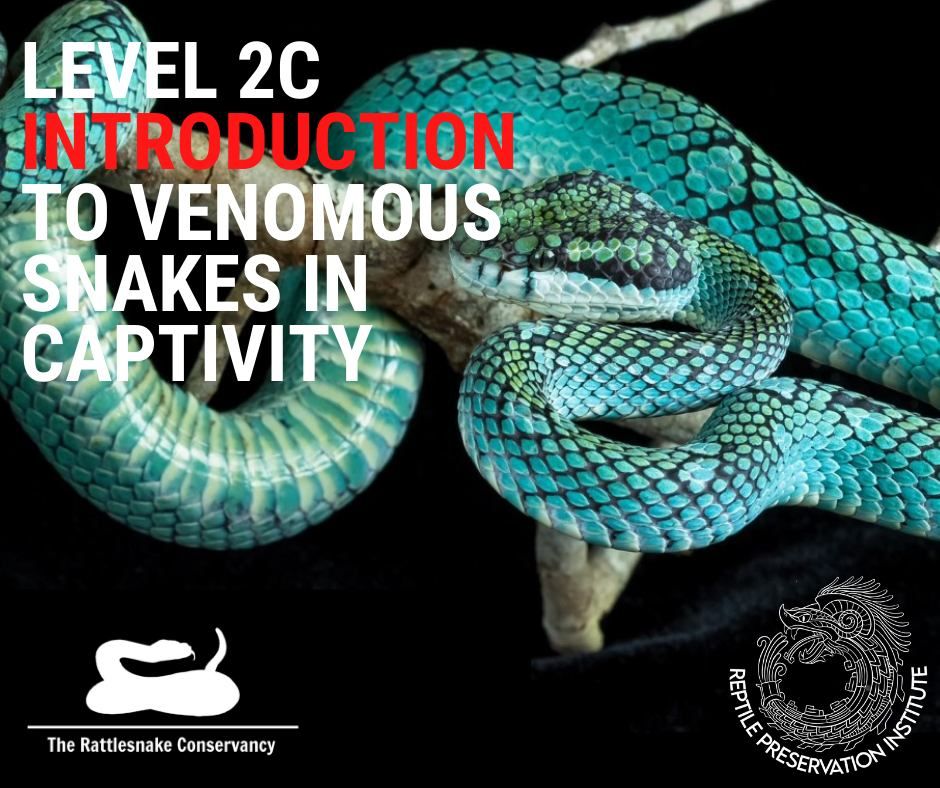Level 2C - Introduction to Venomous Snakes in Captivity | The ...