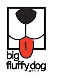 Big Fluffy Dog Rescue Dog Yoga @ Uncommon James Nashville