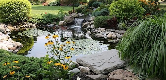 Family Caregivers Retreat: Support, Solutions & Serenity