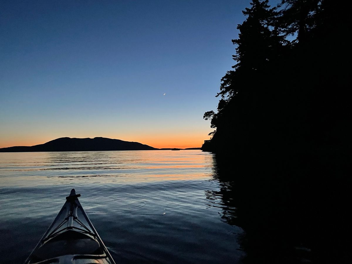 Bioluminescence Kayak Tour Larrabee State Park, Bellingham, WA July