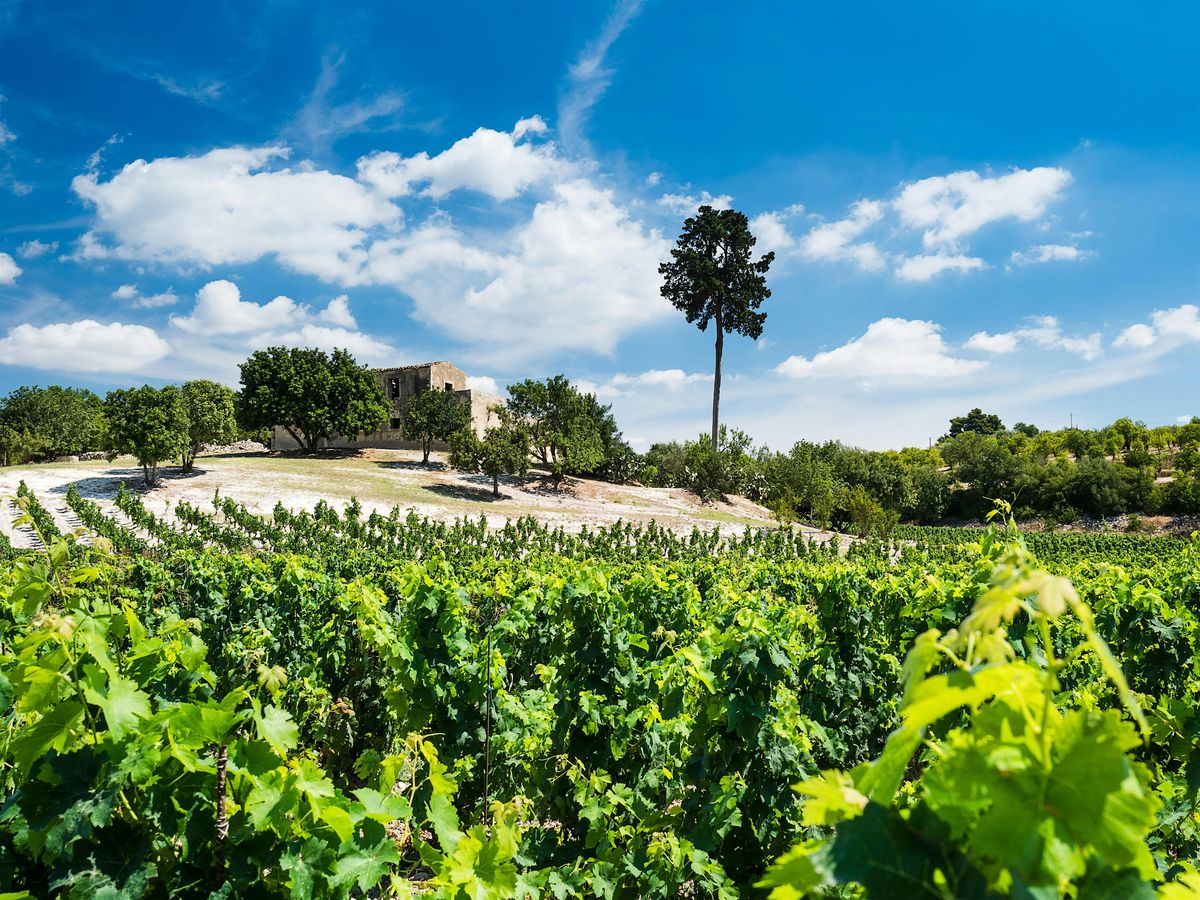 Wine Dinner - A Journey by the Sea