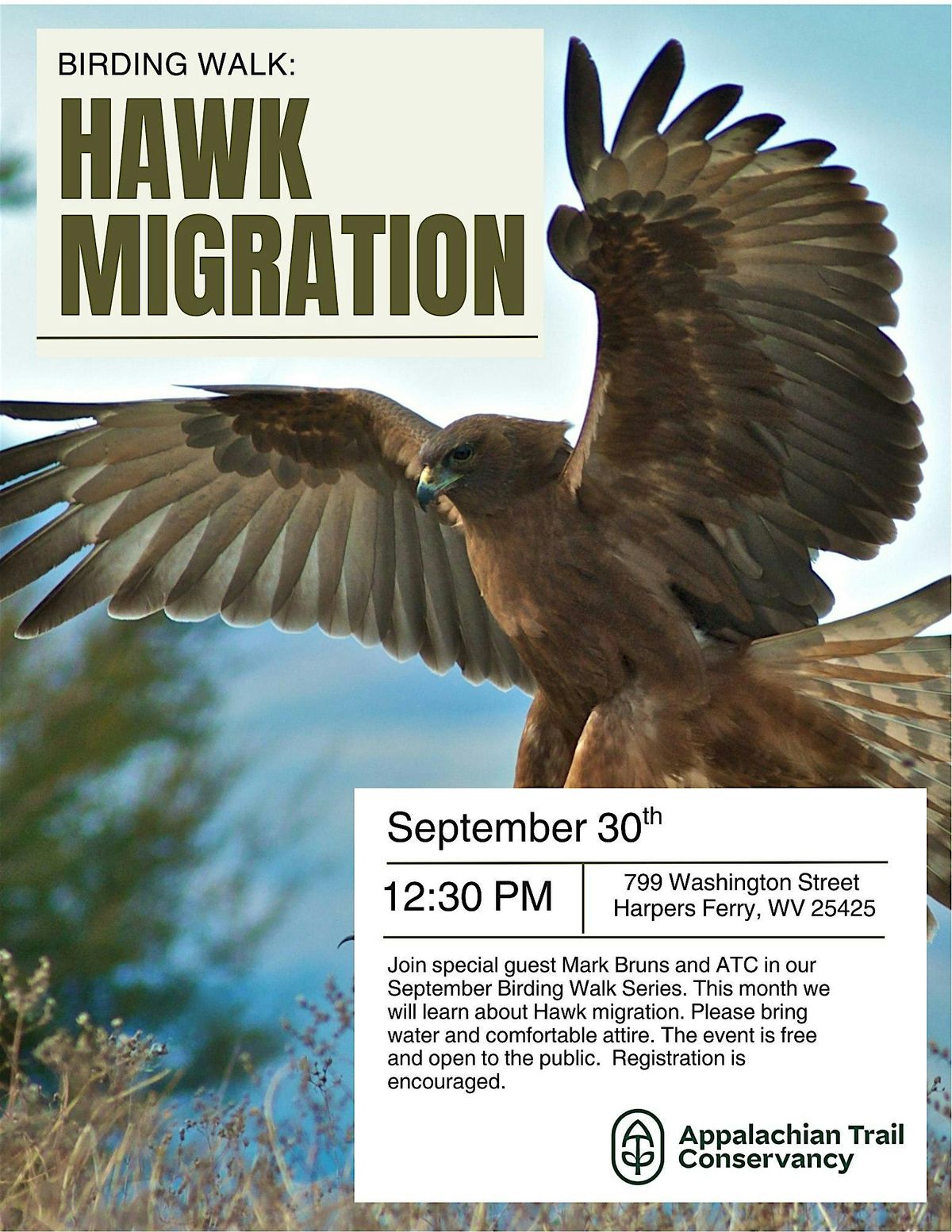 Birding Walk - Hawk Migration